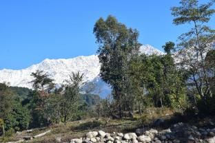 Star Amaya Revier Side Mountain and Forest View   Vacation rental in Himachal Pradesh