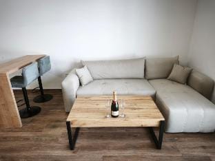 Apartmán U mlýnu Vacation rental in Czechia
