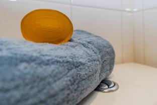 Marsham Manor Vacation rental in Maidstone