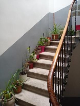 T2 neuf Sete centre ville Apartment in Occitanie