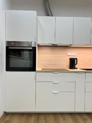 Modern 3-Bed Apt, Free Parking, Near City Center Apartment in Prague