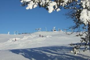 Dalpilen a great timber lodge middle and loft floors Vacation rental in Innlandet