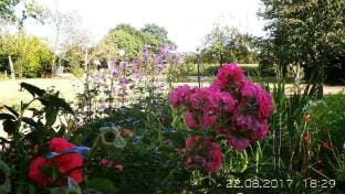 French Cottage in the heart of history Vacation rental in Pays de la Loire