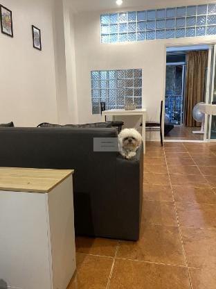 Pet friendly 50 sq m apartment, just renovated Vacation rental in Karon