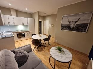 Urban Apartments 101. St. Olavs Plass Vacation rental in Oslo