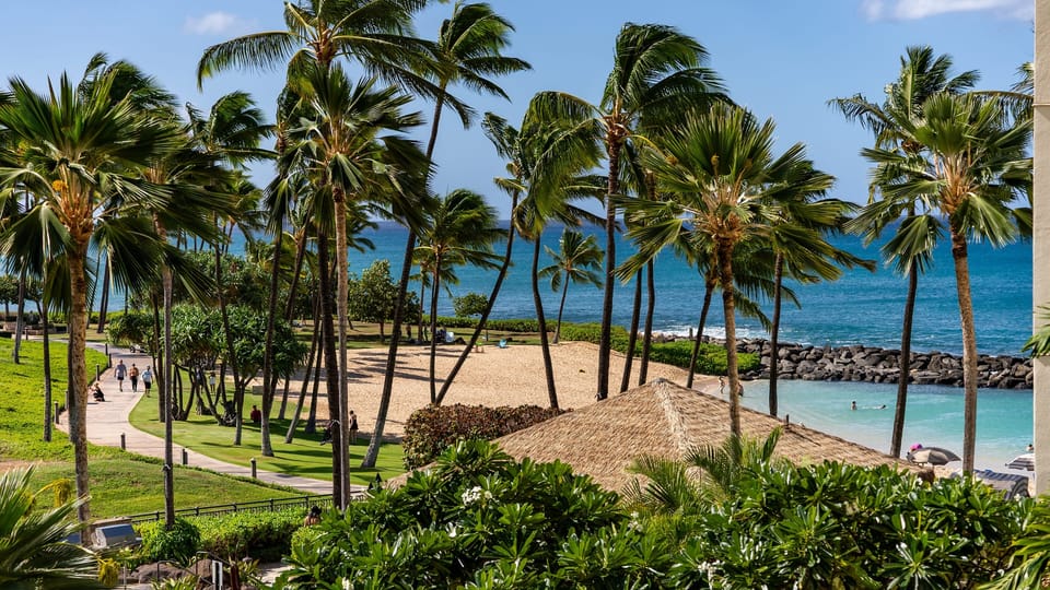 Stroll to the calm lagoon beach for swimming, sunbathing, and stunning coastal scenery.