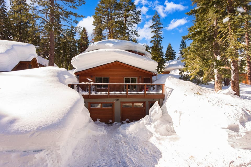 Bluebird days ahead!