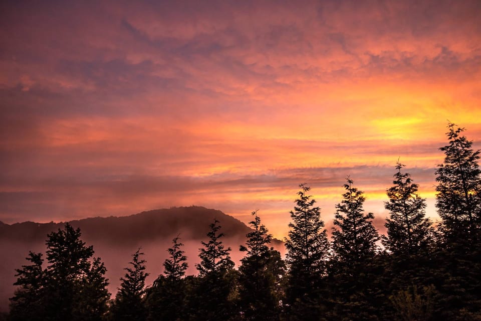 Asheville's sky painted in golden hues – a breathtaking sunset view to end your day.