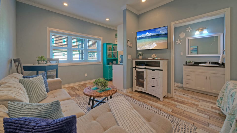 Studio with TV and sofa.