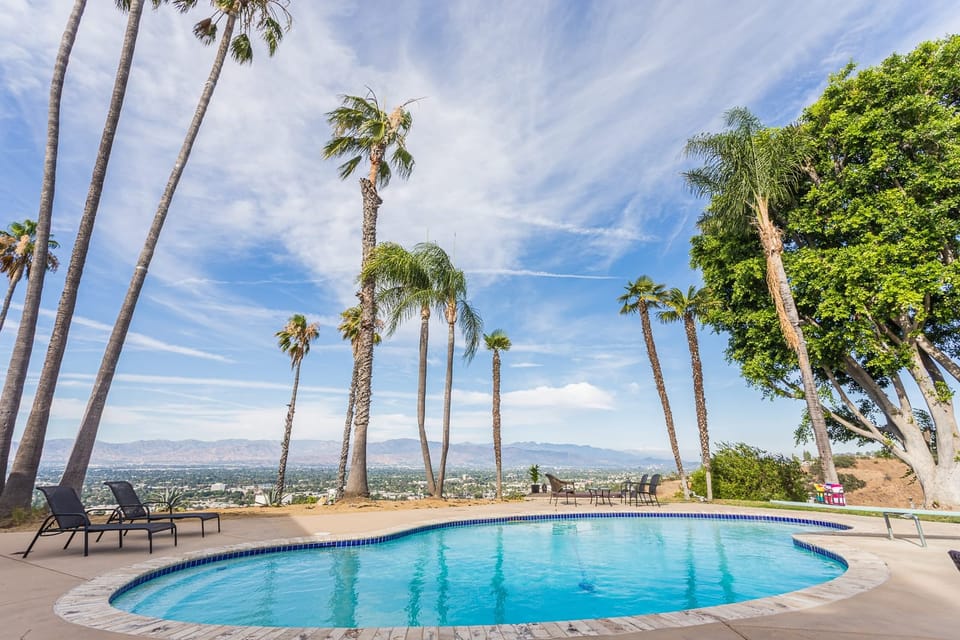 Palm Trees surrounding our private pool.