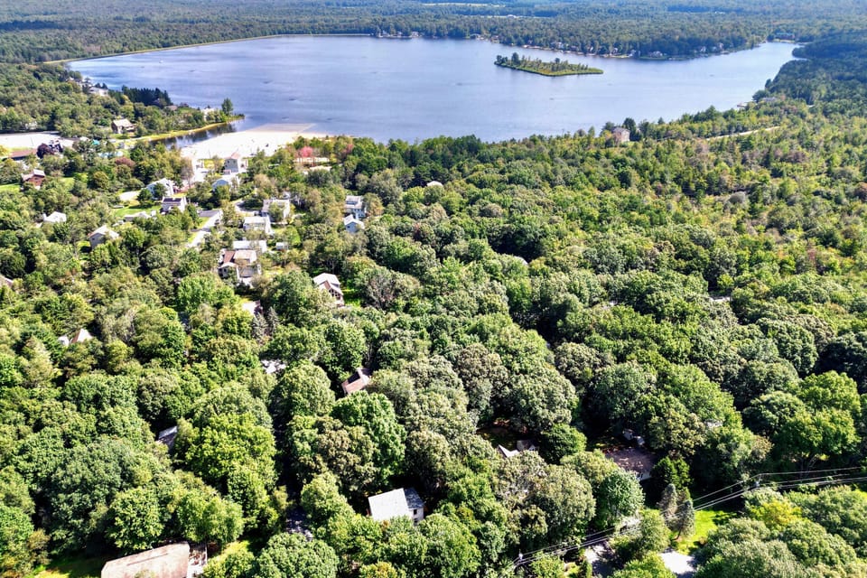 Soaring high above a sea of trees reveals this charming neighborhood.