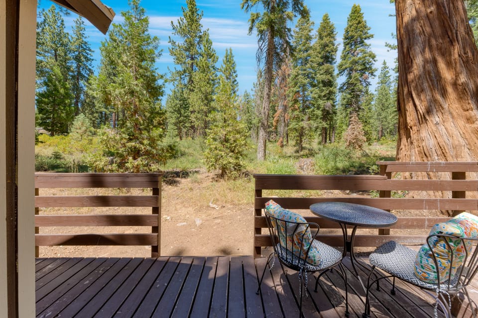 Back deck with forest scnerey.