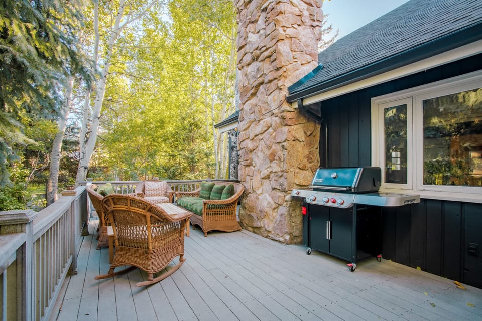 BBQ grill on the deck.