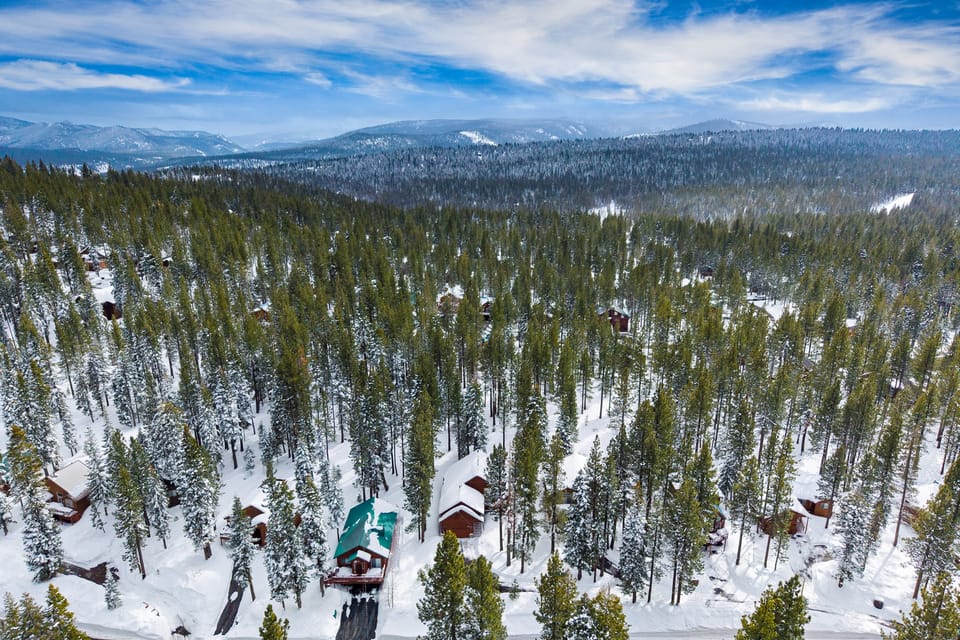 Snowy wonderland!