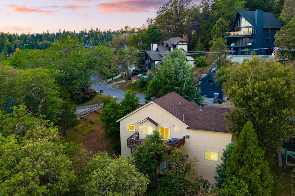 Aerial view of the neighborhood.