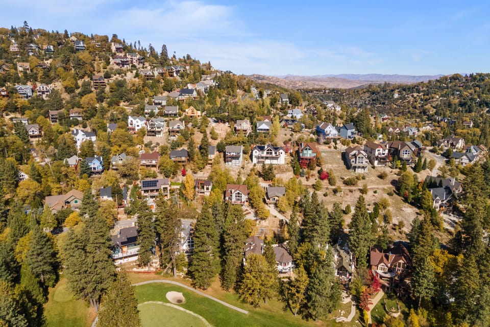 Aerial view of forest and nearby homes.