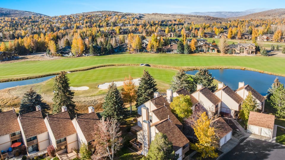 Aerial view of the neighborhood surrounded by trees.