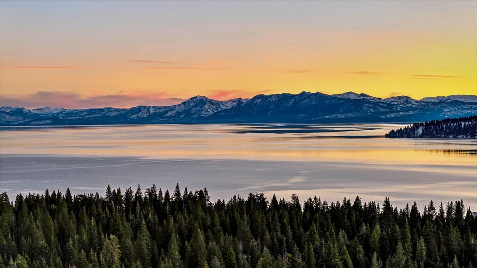 Panorama of the nearby water and dense pine forest.