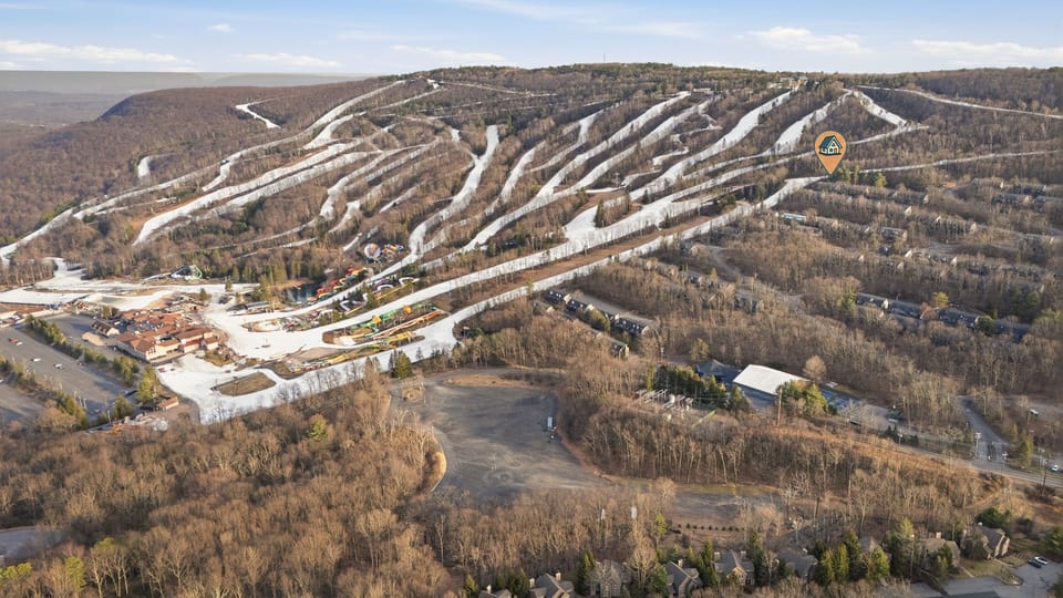 Aerial view of the neighborhood.