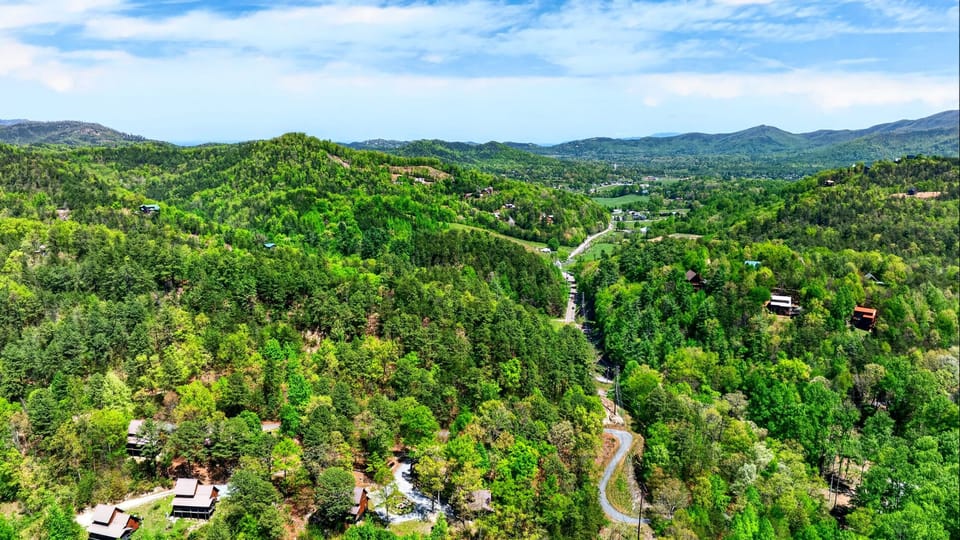 Aerial view of the neighborhood.