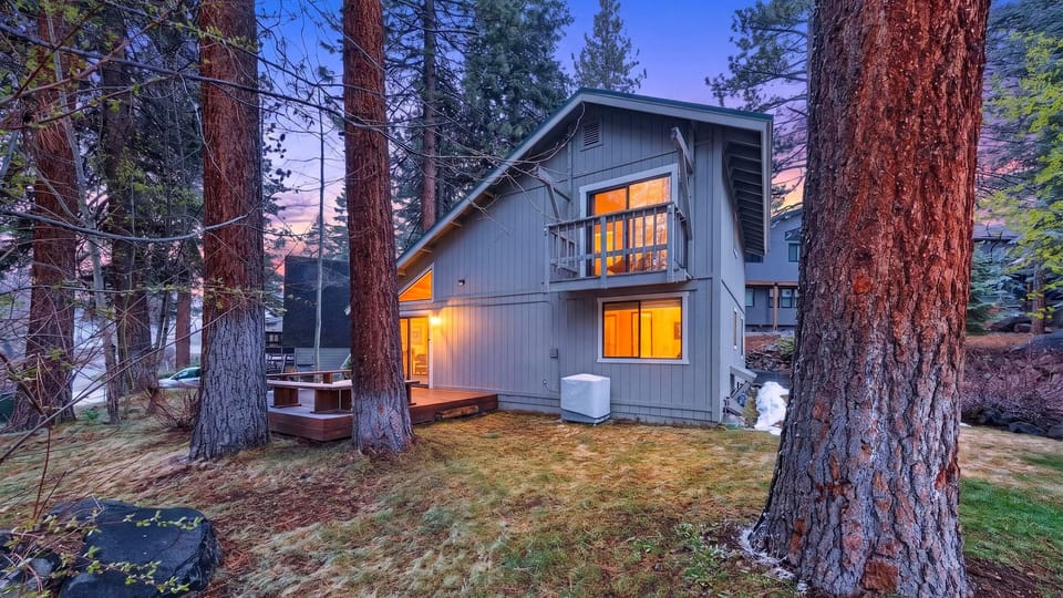 Twilight exterior set between the towering pines.