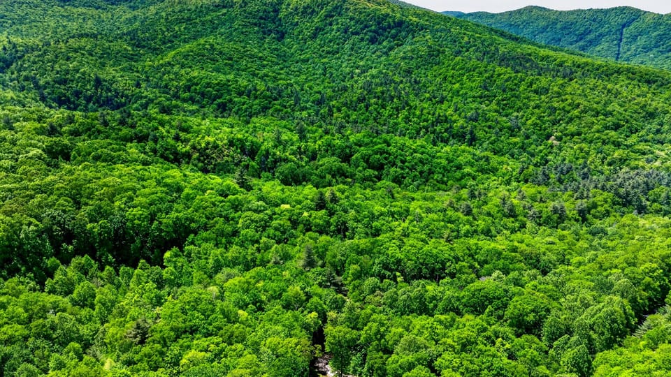 Asheville is calling!