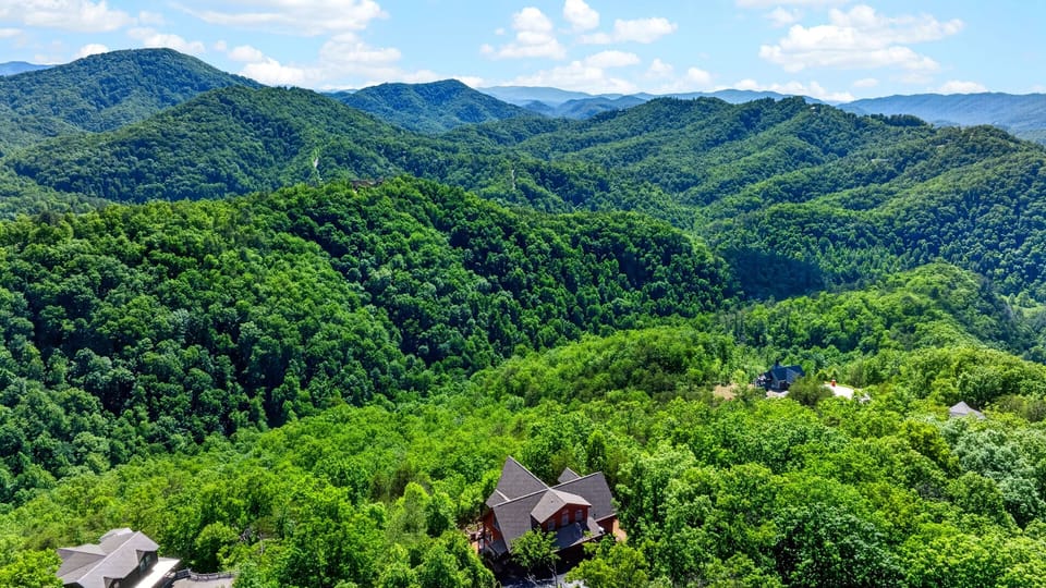 Total seclusion surrounded by thousands of acres of green forest.