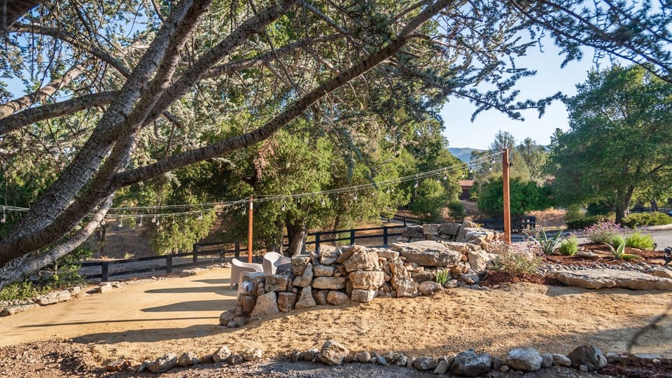 Gather beneath the trees on the stone patio