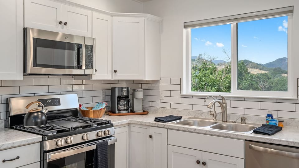 Compact kitchen with stainless appliances and a view from the window.