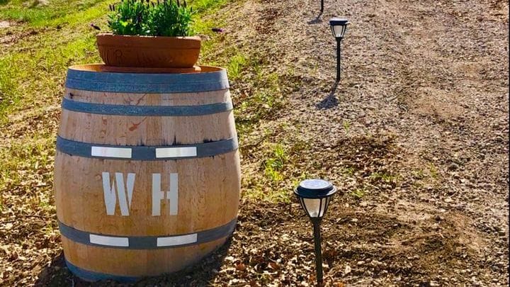 Stroll the gravel path lined with solar lights