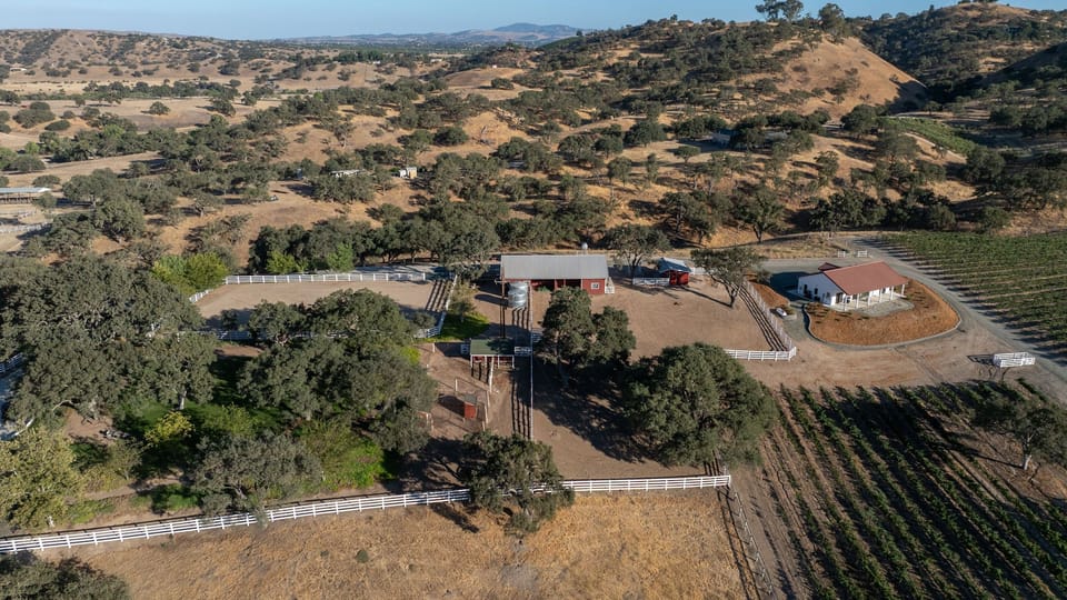 Fenced acreage stretches out with barns, trees, and vineyard views.