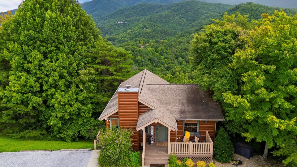 Exterior view of the cozy wooden cabin surrounded by lush trees and mountains.