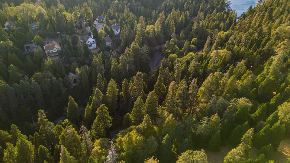 Aerial view of the lodge within the forest.