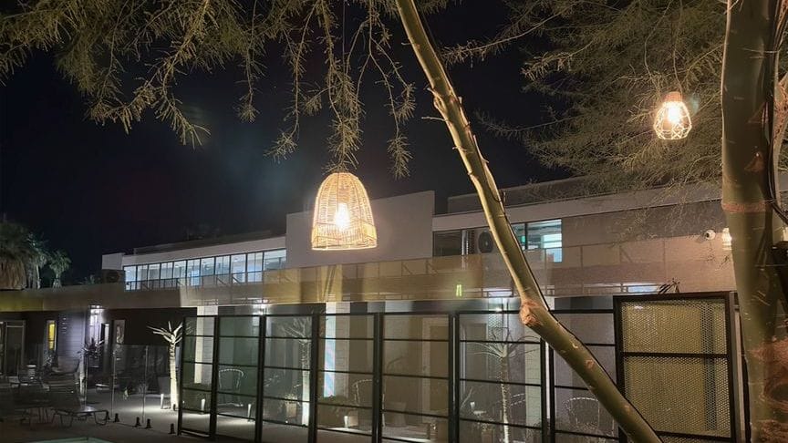 Poolside relaxation with palm trees, lounge seating, and bright desert-sky views.