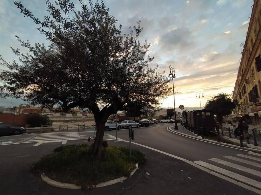 Neighbourhood, Street view, Location, Sunset