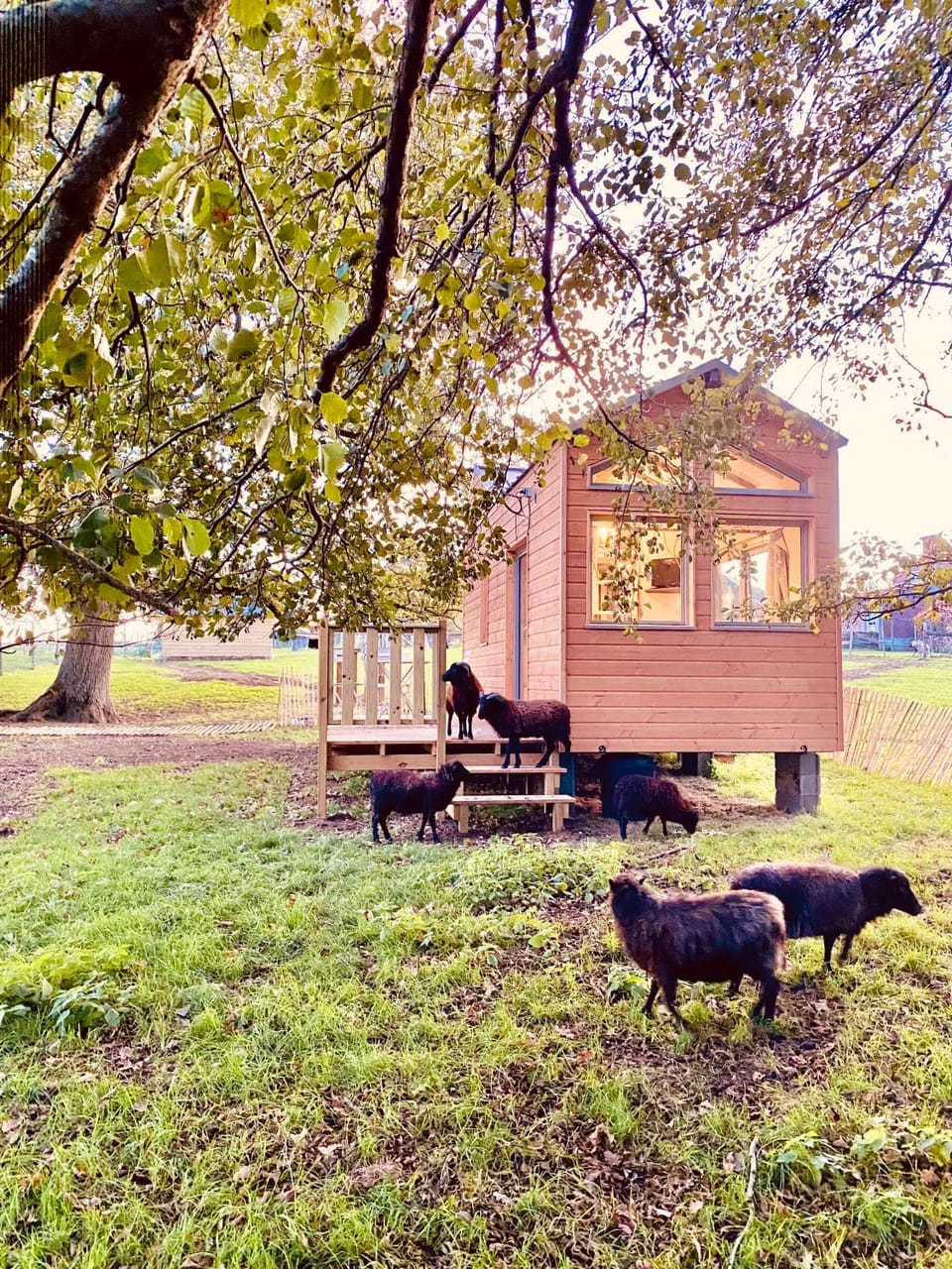 Jolie Tiny House sous les Grands Arbres House in Pays de la Loire