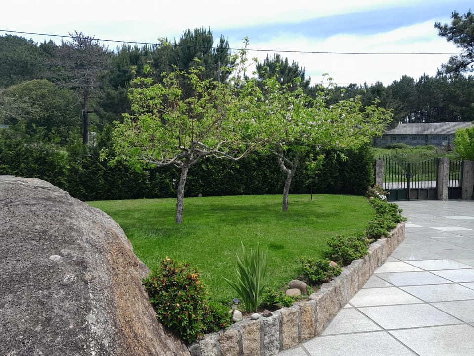 Property building, Garden