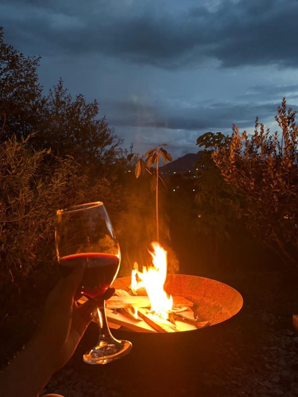 Night, Drinks