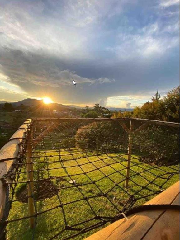 Spring, Day, Natural landscape, Mountain view, Sunset