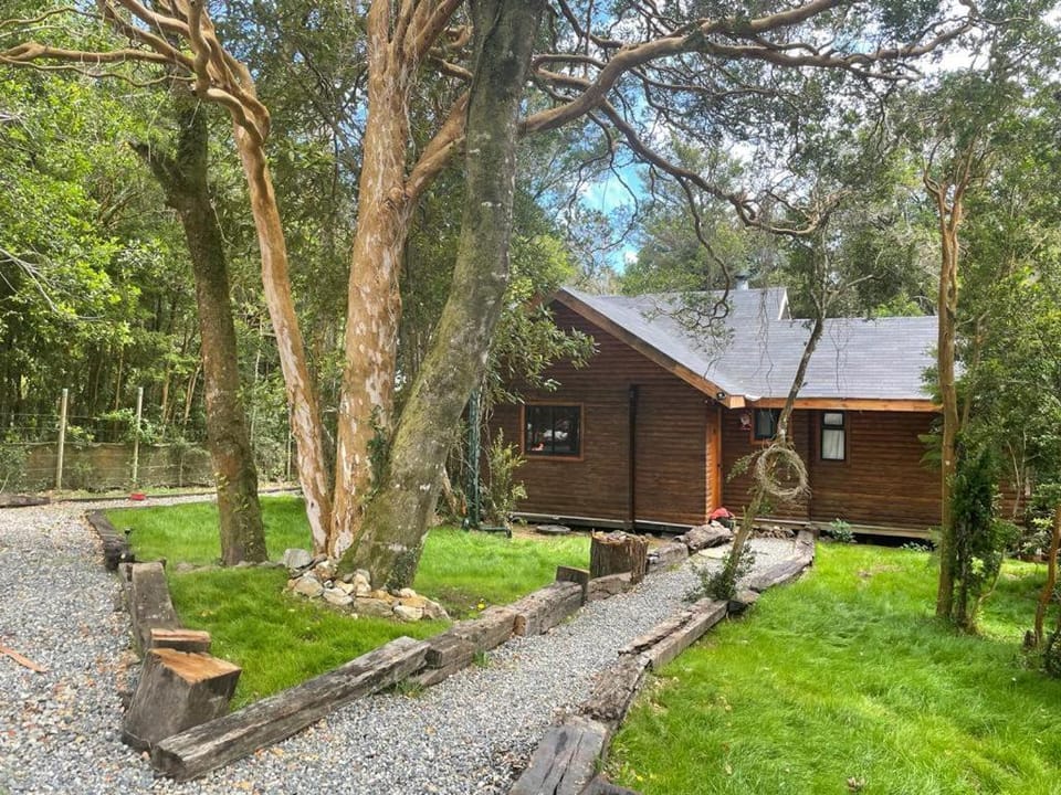 Cabaña del bosque con estero House in Los Ríos, Chile