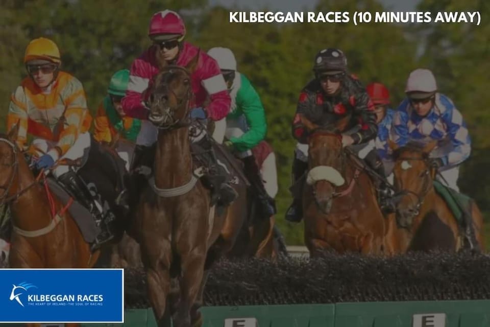 Secluded Modern Guest House Apartment in Westmeath, Co. Westmeath, Ireland