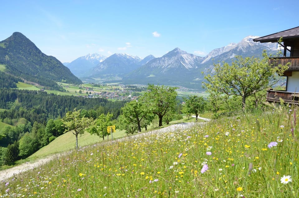 Day, Natural landscape, Summer, On site