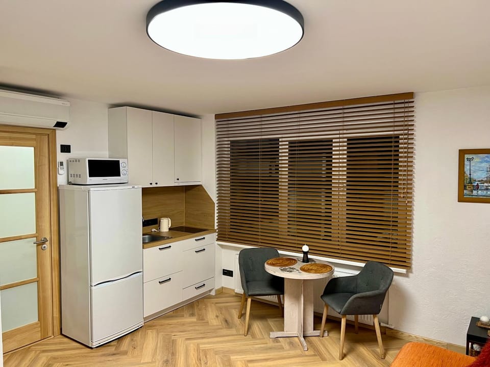 Kitchen or kitchenette, dishwasher, minibar, stove