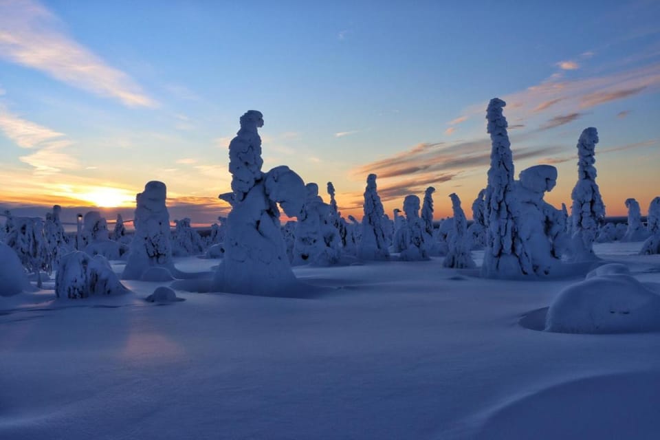Halaus House in Lapland