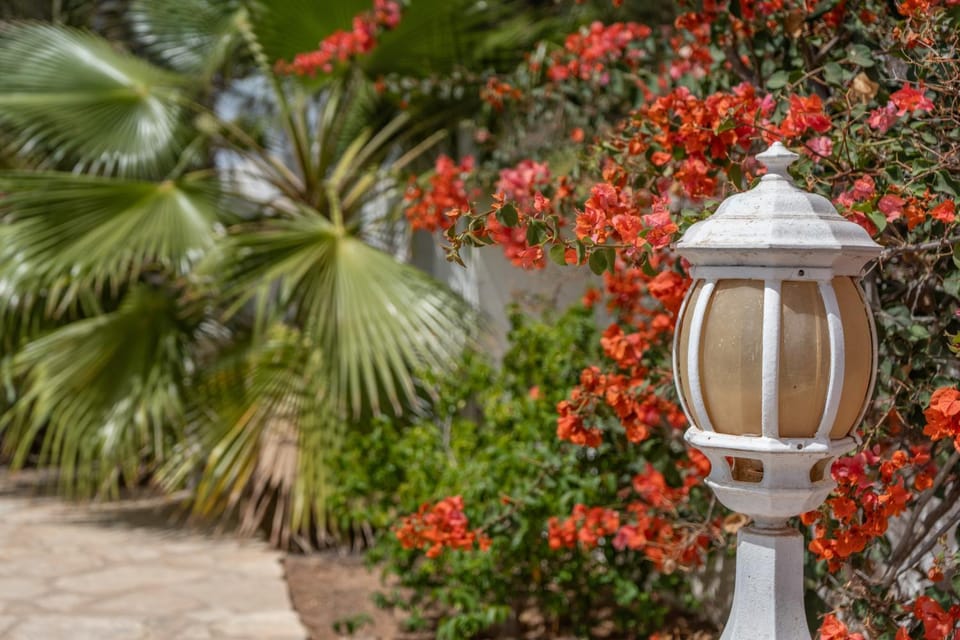 Day, Garden, Garden view