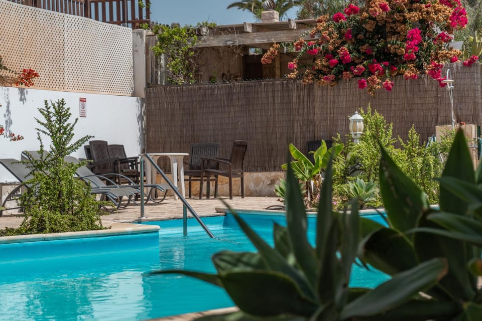 Day, Garden view, Swimming pool, sunbed