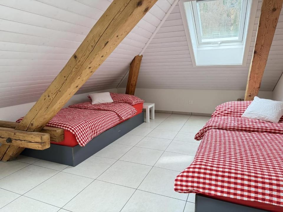 Revier Attika im Hazzo Apartment in St. Gallen, Switzerland