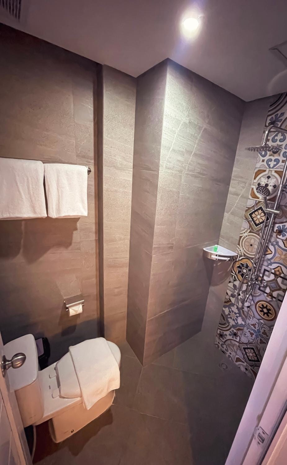 Shower, Toilet, Bathroom, towels