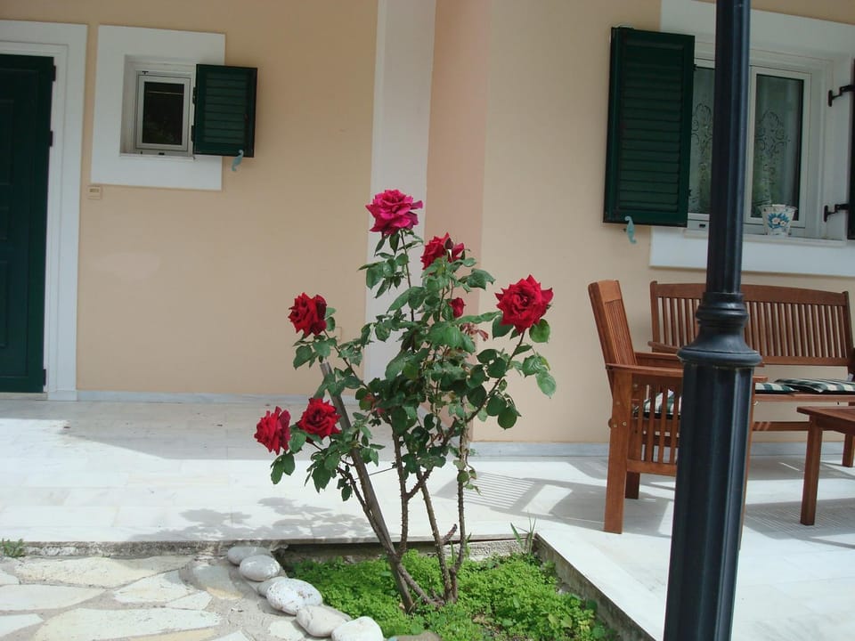 Garden, Decorative detail