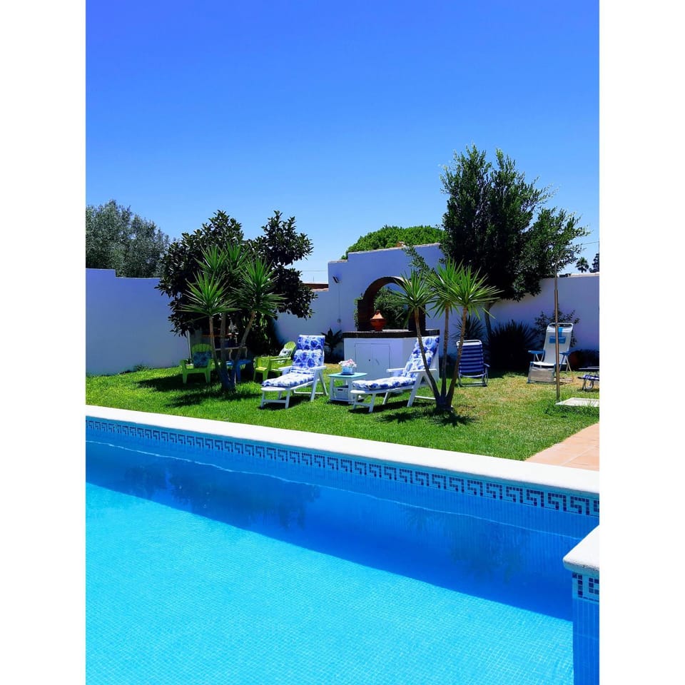 Garden, Garden view, Pool view, Swimming pool, sunbed